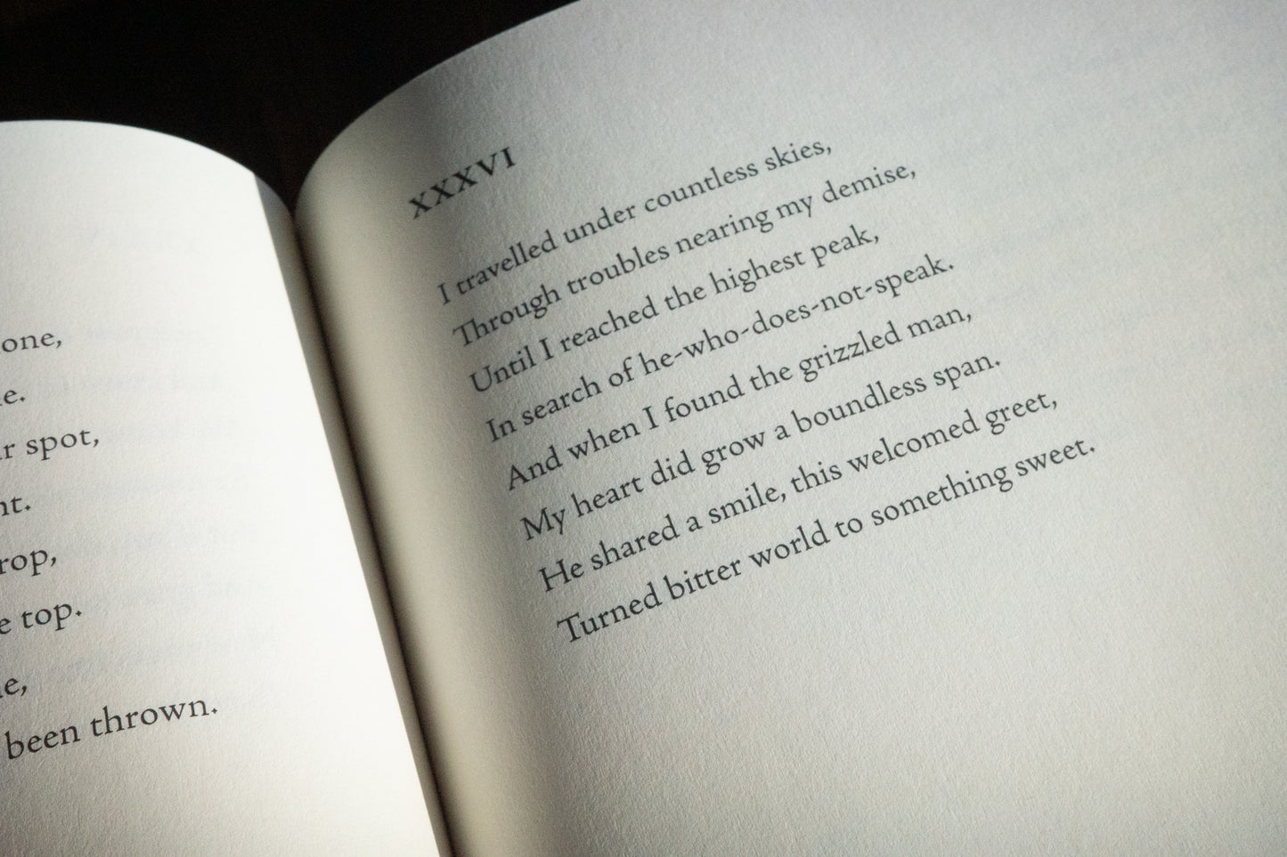 Thinking In Eighths: a poetry collection