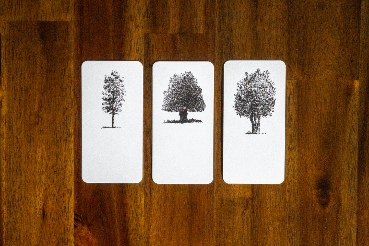Bookmark Set